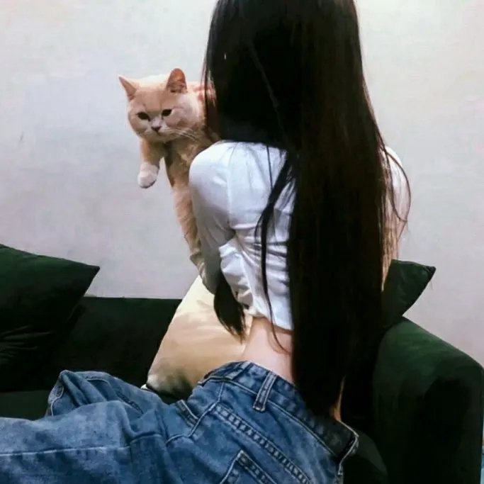 拉丁美洲