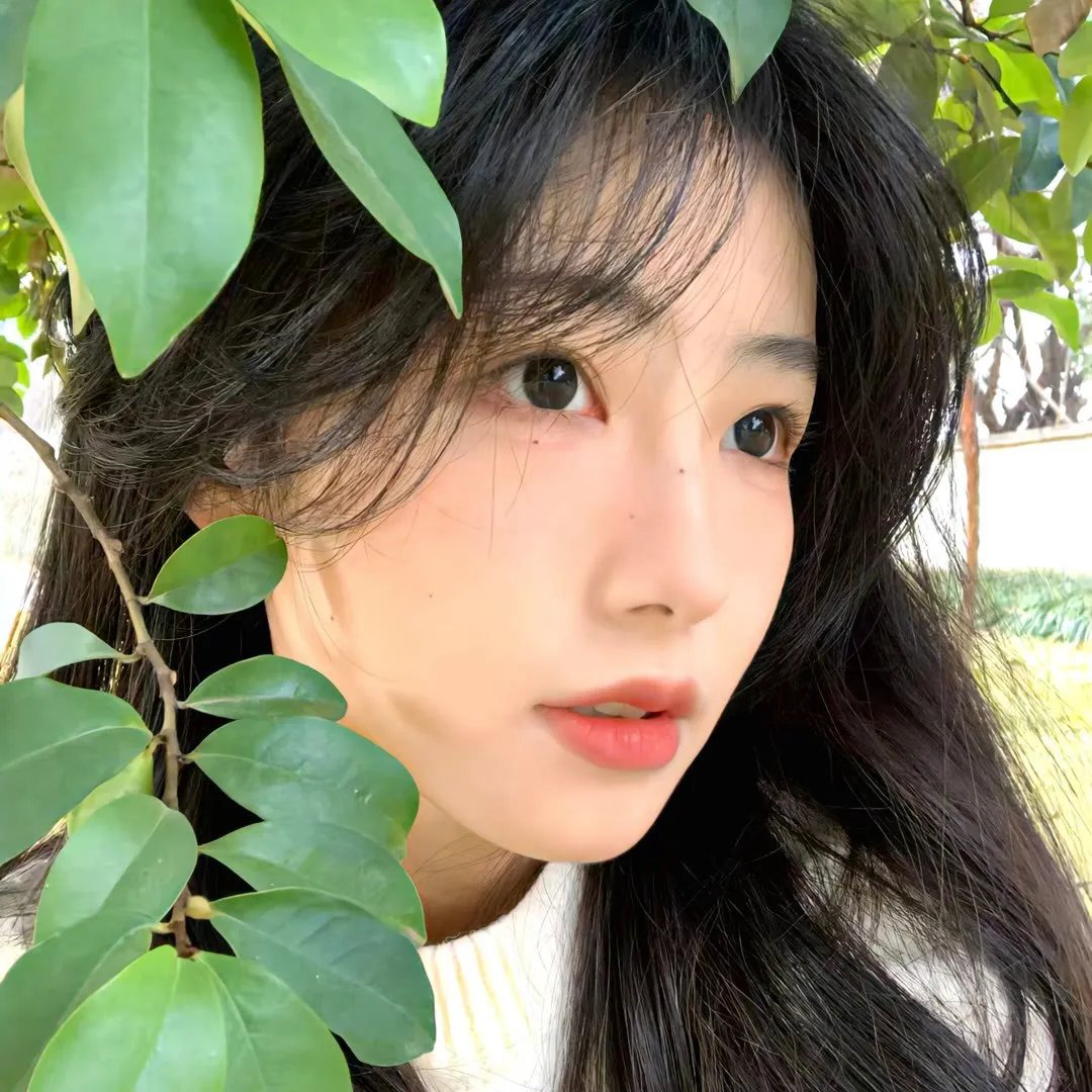 踏血寻梅